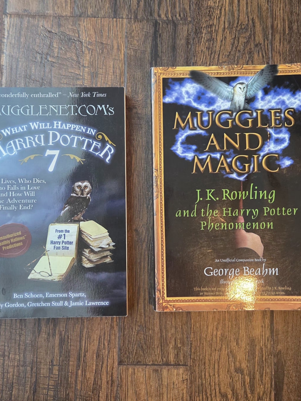 Harry Potter Muggles And Magic Book Plus Extra Book